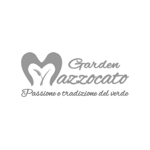 mazzocato